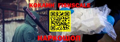 индика Партизанск