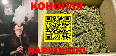 трава Пенза