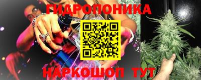 индика Партизанск
