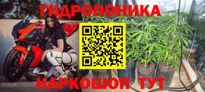 соль ск Пушкино