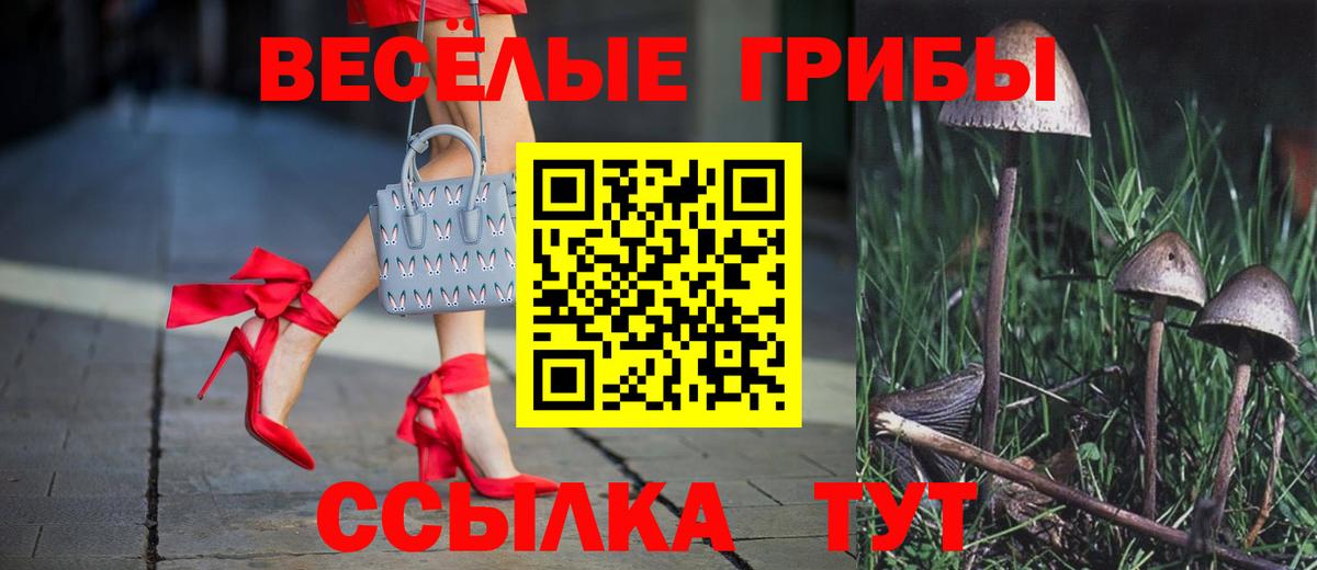 Псилоцибиновые грибы мухоморы Оренбург